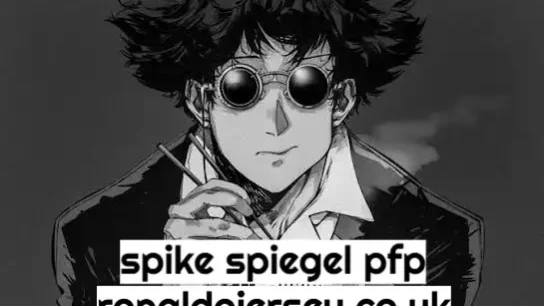 spike spiegel pfp