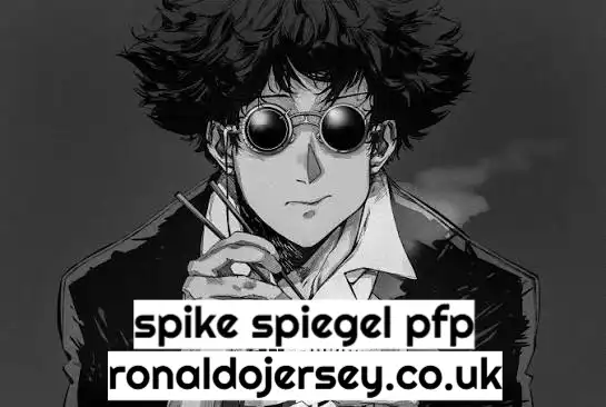 spike spiegel pfp